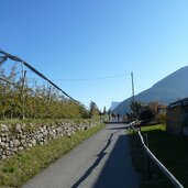 kastanien erlebnisweg bei voellan wanderer