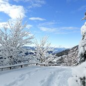 tiers winterwald weg nr bei wuhnleger viel schnee