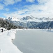 wuhnleger weiher tiers winter blick auf rosengarten