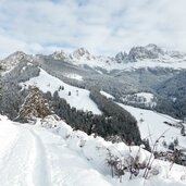 weg nach weisslahnbad winter tiers