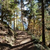 riffianer waalweg herbst wald