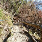 riffianer waalweg herbst wald