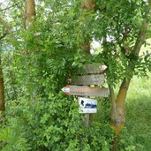 weg von st pauls rodeneck nach muehlbach