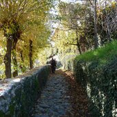 weg zur wallfahrtskirche riffian