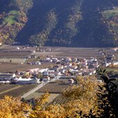 plaus von oben herbst