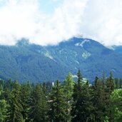 welsberg burgruine thurn zwischen wald