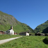 fanealm