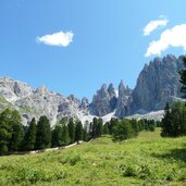 angelwiesen dahinter rosengarten mit vajolet tuerme