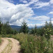 efw forstweg wolftal nach kohlern