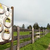 salten themenweg tschaufen guggnweg schild