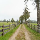 salten themenweg tschaufen weg