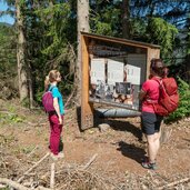 jenesien afing holzfaellerweg infotafel