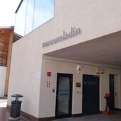 san cassiano museum ladin ursus ladinicus