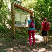 holzfaellerweg infotafel