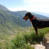 Altfasstal Wieserhuette Aufstieg Seefeldsee Hund