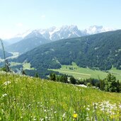 wiesen bei kammerlechen roemerweg aussicht dolomiten