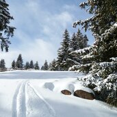 vigiljoch winter schneelandschaft wanderweg ski spuren
