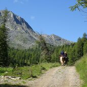 reiter am weg zur penaudalm