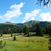 blick auf den karnischen kamm