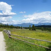 weg nr villanderer alm zum moar in plun