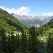 wiesen im penaudtal