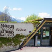 naturns prokulus museum