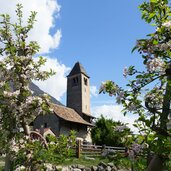 naturns st prokulus kirche apfelbluete