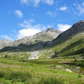 avignatal blick richtung arundakopf valdaschlispitze und sesvenna