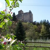 schloss dornsberg tarantsberg