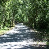 laas tschenglser auen am radweg