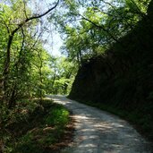 forstweg pfatten nach montiggl