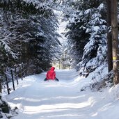 voels rodelbahn hofer alpl rodel rodeln