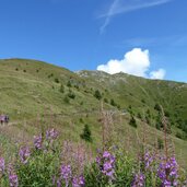 weg nr zur bergstation helm