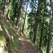 pawigl weg nr nach st pankraz wald