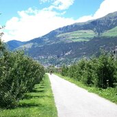 schlanders radweg richtung latsch