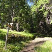 wegweiser steig zur zinseler spitze
