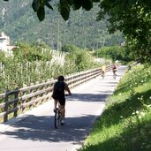 radweg bei naturns