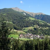 Almen Waldweg Hochwart