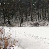 vahrner see winter