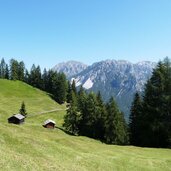 almwiesen weg zum ju de rit