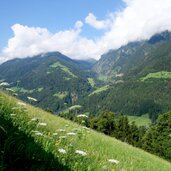 wiesen bei prantach blick richtung kalmtal und madgfeld