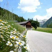 hoefe bei pens penserjoch strasse