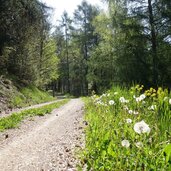 weg a kiens nach lothen und sonnenburg