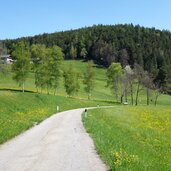 fruehling wiesen und acker am weg a oberhalb von kniepass