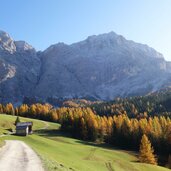 la val wengen herbst neunerkofel zehnerkofel fanes fr