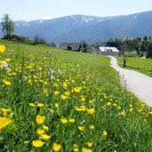 weg nr bei sonnenburg