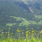 matatz bei st martin passeier