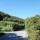 noerdersberg strasse bei goeflan