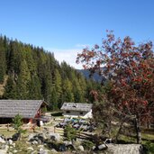 puntleider seealm fr