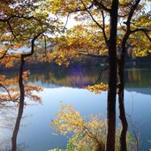 herbst bei kleiner montiggler see montigglersee
